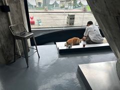 -CEMENT·coffee bar (凤凰创意园店)