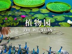 -野象谷景区