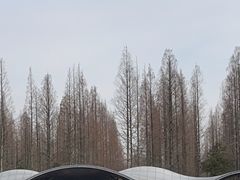 -东平国家森林公园