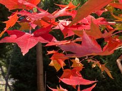 -云峰山自然风景区