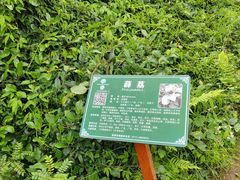 -广西壮族自治区药用植物园