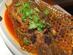 -真定郝家排骨(正定县总店)