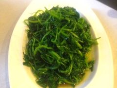 清炒豌豆尖-悦百味·品质川菜(橄榄郡店)