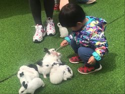 -萌宠亲子动物乐园(槐房万达店)