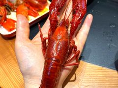 -拙大师·龙虾四季排档·夜宵至凌晨4点(九环路店)