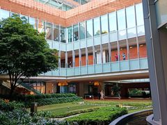 -香港大学
