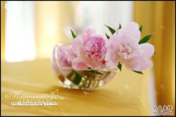 美雯苏宁卢浮宫-苏宁环球套房饭店·宴会厅