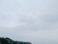 -深圳湾公园(南山区)