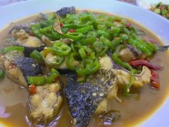 -全乐鱼馆·淳牌有机鱼直营店