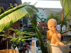 -nodcafe(M50创意园店)