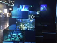 -同济大学四平路校区深海探索馆