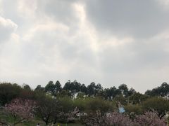 -秀丽东方