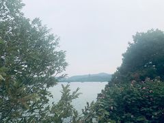 -苏堤停车场