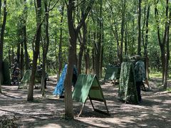 -亲兄弟真人CS团建拓展基地