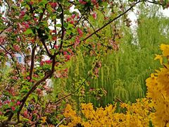 -元大都城垣遗址公园