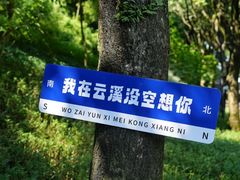 -云溪植物园