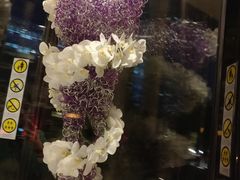 -广州四季酒店