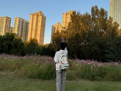 -龙塔