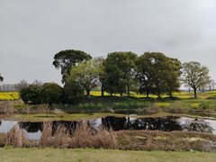 -漕湖湿地公园