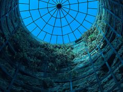 -中国西峡恐龙遗迹园