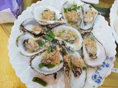 -鸿达渔港
