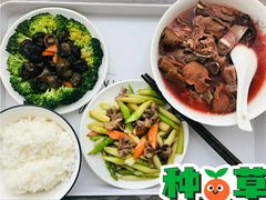 -大班家政月嫂育儿嫂(深圳NO.1店)