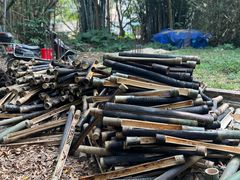 -丰依竹食·老牌竹筒饭