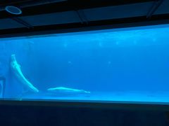 -石林冰雪海洋世界