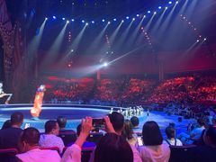 -珠海横琴长隆《卡卡虎奇遇记》