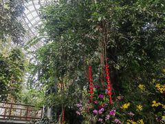-郑州植物园