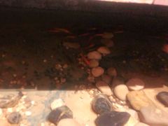 -邈墨茶馆(凤起路店)