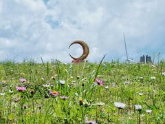 -龙里油画大草原旅游区