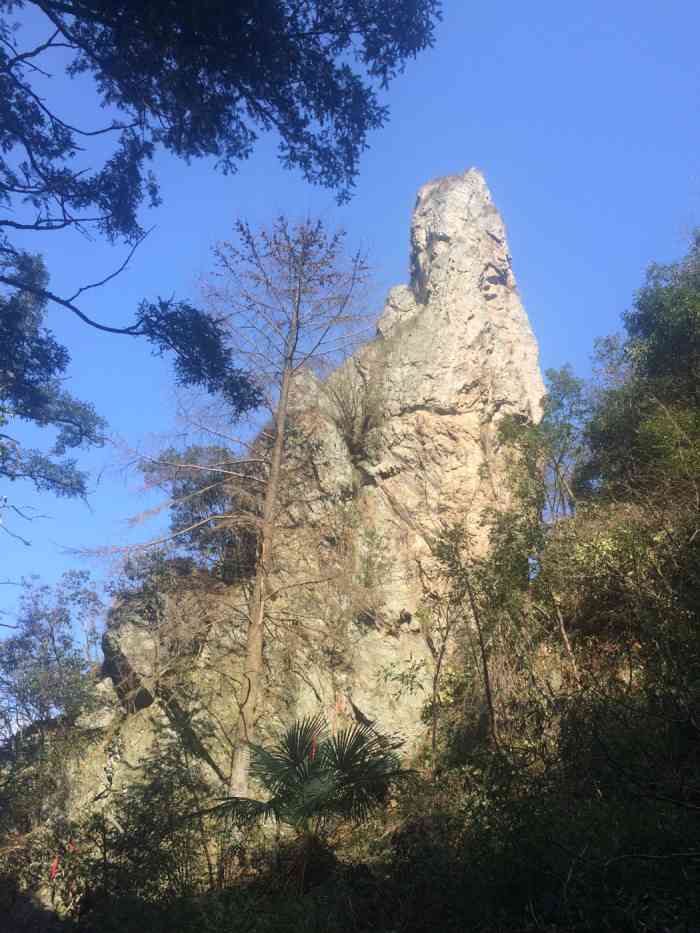 石柱山风景区-"石柱山上奇石林立,郁郁葱葱的树木的映衬下.