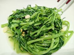 -吴记富苑(朝阳店)