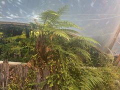 -怀托摩萤火虫洞