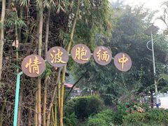 -莫里热带雨林景区
