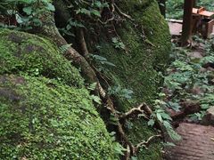 -青城山