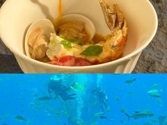 -OSSIANO奥西亚诺海底餐厅