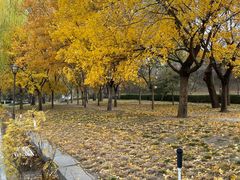 -元大都城垣遗址公园