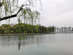 -东湖听涛景区