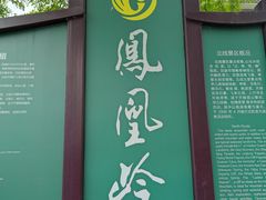 -北京凤凰岭