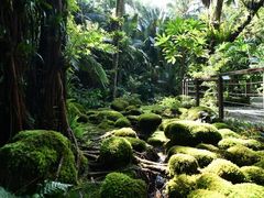 -深圳仙湖植物园