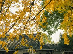 -西园戒幢律寺