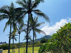 -三亚南山文化旅游区