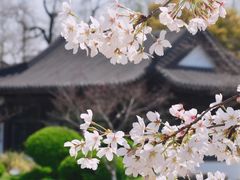 -莫愁湖公园