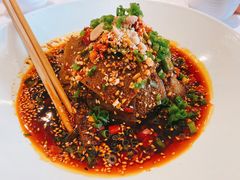 鲜椒毛肚-大鸭梨烤鸭(石佛营店)