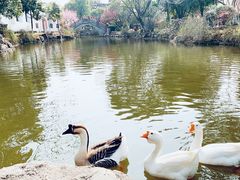 -张公山寨景区