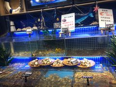 水产区-必点海鲜·鲅鱼水饺(鞍山西道店)