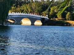 -大兴滨河森林公园