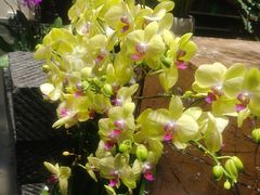 -黔蘑菇四季餐厅(观山湖店)